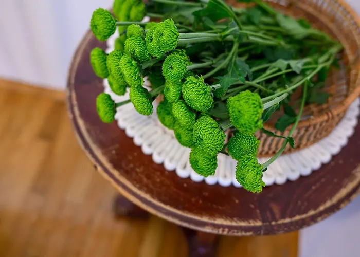 Apartmán Pretty Dubrovník